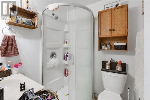 60 William Street, Chelmsford, ON - Indoor Photo Showing Bathroom