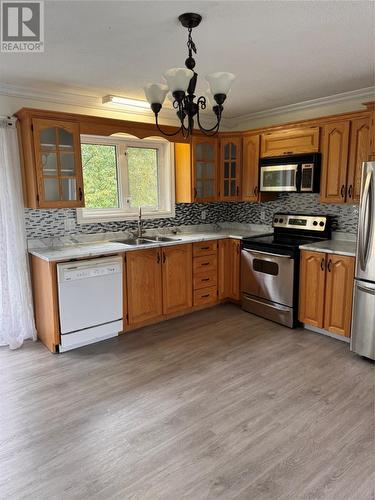 99 Bowater Road, Appleton, NL - Indoor Photo Showing Kitchen With Double Sink