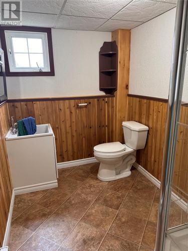 99 Bowater Road, Appleton, NL - Indoor Photo Showing Bathroom