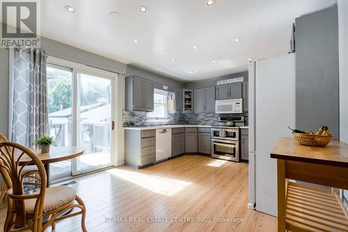 366 George Street, Milton (Old Milton), ON - Indoor Photo Showing Kitchen With Upgraded Kitchen