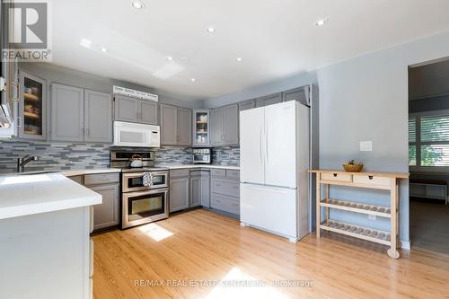 366 George Street, Milton (Old Milton), ON - Indoor Photo Showing Kitchen With Double Sink With Upgraded Kitchen