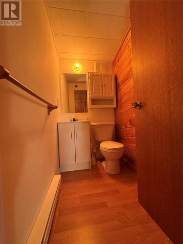 111 Sandy Point Road, Norris Arm, NL - Indoor Photo Showing Bathroom