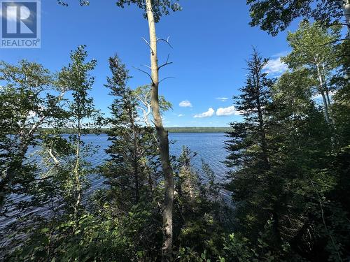 111 Sandy Point Road, Norris Arm, NL - Outdoor With Body Of Water With View