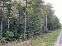 54.5 Acres Mckinnon Road, Miramichi, NB 