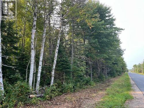 54.5 Acres Mckinnon Road, Miramichi, NB 