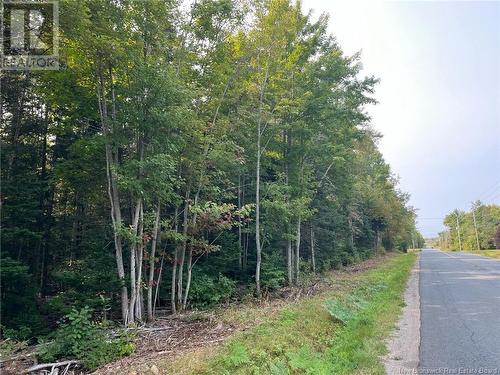 54.5 Acres Mckinnon Road, Miramichi, NB 