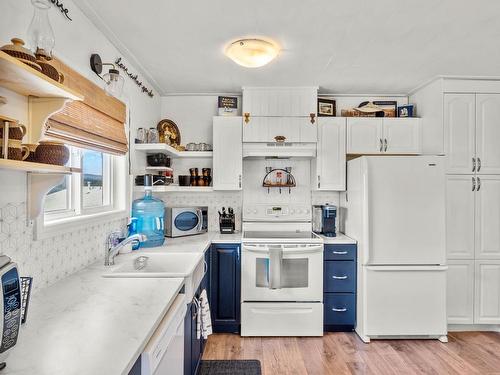 443 Opal Drive, Logan Lake, BC - Indoor Photo Showing Kitchen