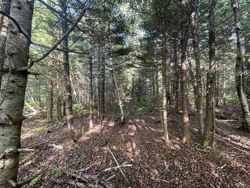 Lot A Arlington Road, Arlington West, NS 