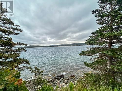 0 West Side Road, Green'S Harbour, NL 