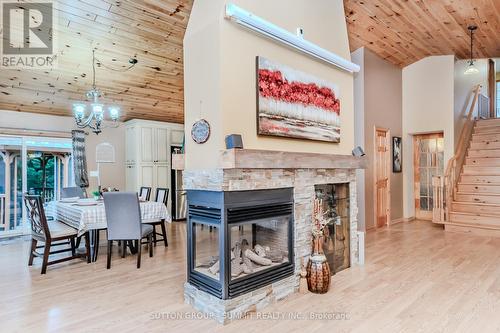 160 Hill Street, Gravenhurst, ON - Indoor With Fireplace