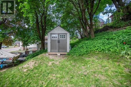 Perennials on the hillside. - 29 Bonnechere Street E, Eganville, ON - Outdoor