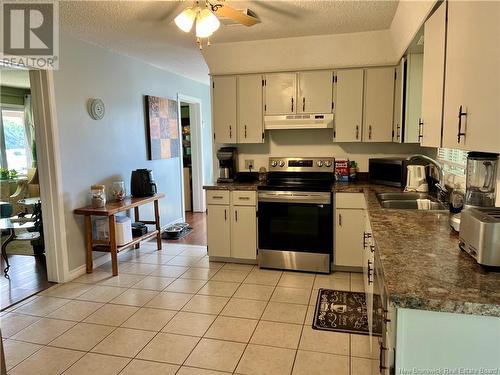 1326 Tobique Road, Drummond, NB - Indoor Photo Showing Kitchen With Double Sink