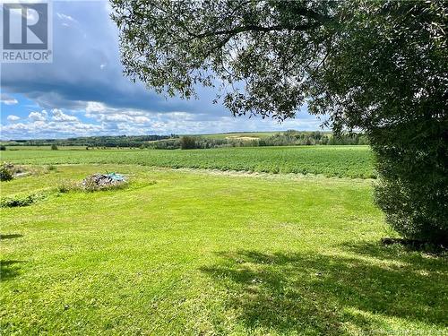 1326 Tobique Road, Drummond, NB - Outdoor With View