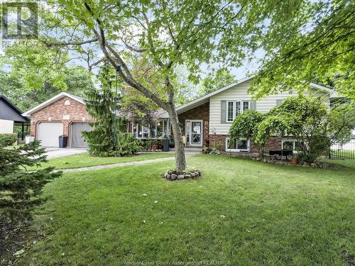 1255 Oxford, Kingsville, ON - Outdoor