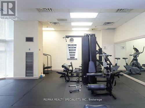 2010 - 3 Hickory Tree Road, Toronto (Weston), ON - Indoor Photo Showing Gym Room