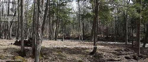 Lot 4 Future Lane, Stirling-Rawdon, ON 