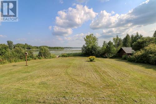 586 Rohallion Road, Kawartha Lakes, ON - Outdoor With View