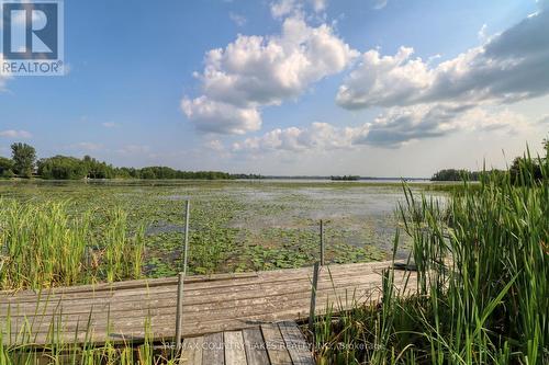 586 Rohallion Road, Kawartha Lakes, ON - Outdoor With View