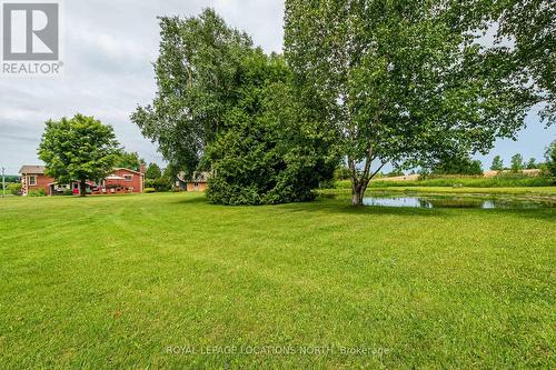 1919 Concession 6 Road S, Clearview, ON - Outdoor