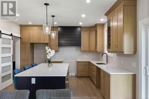 113 Bear Street, Essex, ON - Indoor Photo Showing Kitchen With Upgraded Kitchen