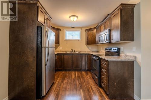 6 Decatur Place, Paradise, NL - Indoor Photo Showing Kitchen With Stainless Steel Kitchen With Double Sink