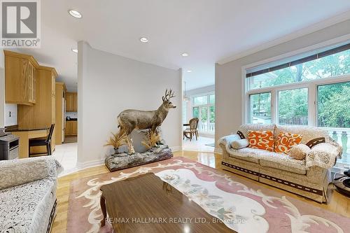 430 Hounslow Avenue, Toronto (Willowdale West), ON - Indoor Photo Showing Living Room