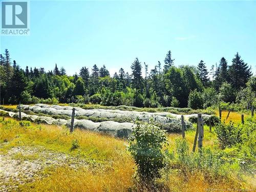 3909 Scenic Drive, Alma, NB - Outdoor With View