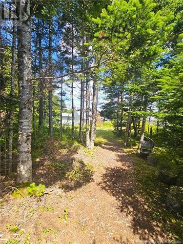 3909 Scenic Drive, Alma, NB - Outdoor With View