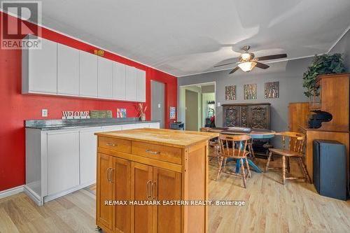 20 Buckhorn Road, Kawartha Lakes, ON - Indoor Photo Showing Kitchen