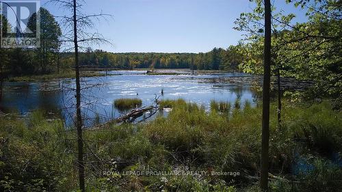 . Conchie Road, Tweed, ON 