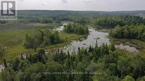 . Conchie Road, Tweed, ON 