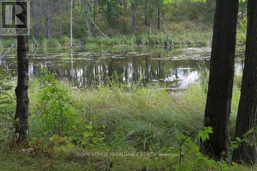 . Conchie Road, Tweed, ON 