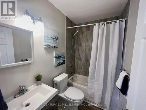 102 - 61 Townline, Orangeville, ON - Indoor Photo Showing Bathroom