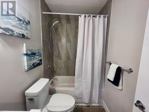 102 - 61 Townline, Orangeville, ON - Indoor Photo Showing Bathroom