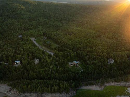 Overall view - Ch. De La Pointe, Baie-Saint-Paul, QC 