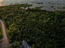 Land/Lot - Ch. De La Pointe, Baie-Saint-Paul, QC 