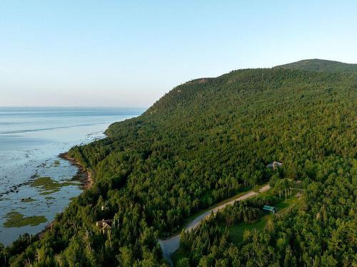 Overall view - Ch. De La Pointe, Baie-Saint-Paul, QC 