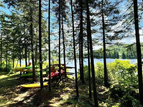 Bord de l'eau - 3248 Ch. Du Lac-Des-Trois-Frères, Saint-Adolphe-D'Howard, QC - Outdoor With View