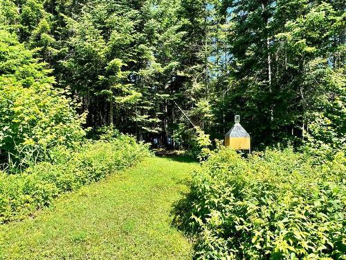 Autre - 3248 Ch. Du Lac-Des-Trois-Frères, Saint-Adolphe-D'Howard, QC - Outdoor