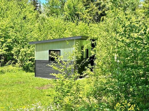 Loft - 3248 Ch. Du Lac-Des-Trois-Frères, Saint-Adolphe-D'Howard, QC - Outdoor