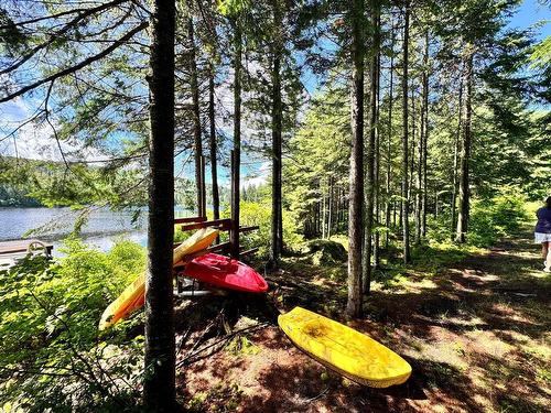 Bord de l'eau - 3248 Ch. Du Lac-Des-Trois-Frères, Saint-Adolphe-D'Howard, QC - Outdoor