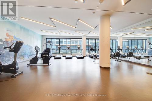 201 - 225 Sumach Street, Toronto (Regent Park), ON - Indoor Photo Showing Gym Room