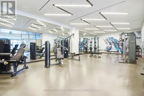 201 - 225 Sumach Street, Toronto (Regent Park), ON - Indoor Photo Showing Gym Room