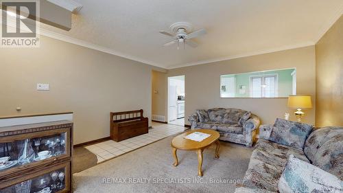 31 Brisco Street, Brampton, ON - Indoor Photo Showing Living Room