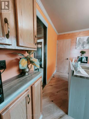 8 Sarah Street, Chatham-Kent (Thamesville), ON - Indoor Photo Showing Kitchen