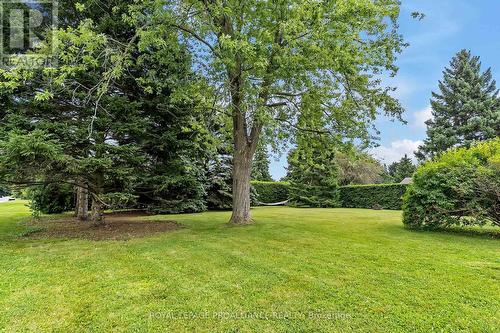 223 Garrard Road, Whitby (Blue Grass Meadows), ON - Outdoor