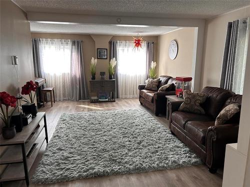 316 Hossack Avenue, Killarney, MB - Indoor Photo Showing Living Room