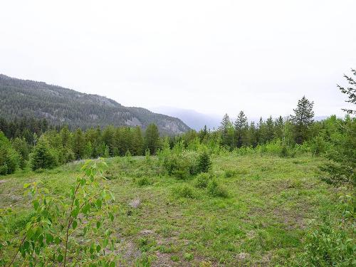 894 Hepburn Rd, Chase, BC - Outdoor With View