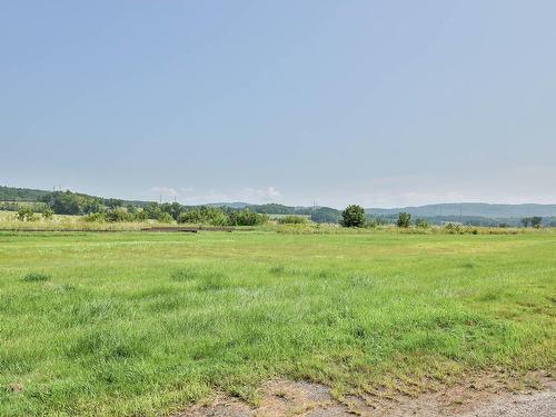 Vue d'ensemble - 280 Rue Bonsecours, Montebello, QC - Outdoor With View