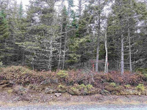 Lot 2022-2 Country Harbour Road, Cross Roads Country Harbour, NS 